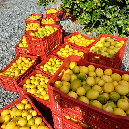 Profumo Di Zagara Acireale别墅 外观 照片