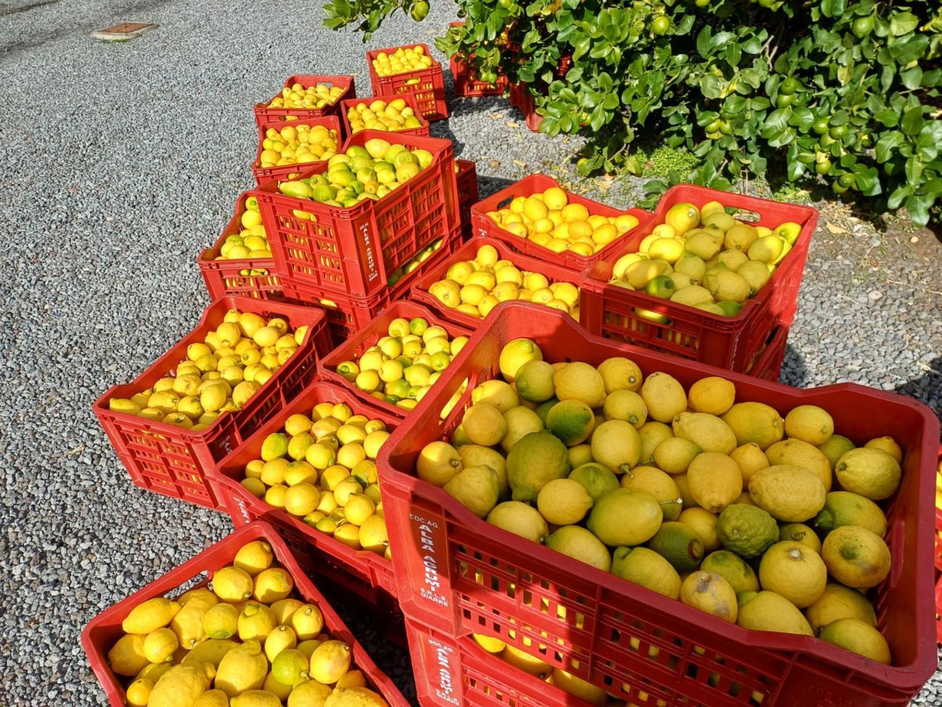 Profumo Di Zagara Acireale别墅 外观 照片